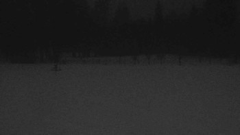 Ski klub RD Rýmařov