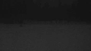 Ski klub RD Rýmařov