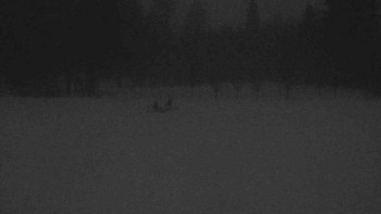 Ski klub RD Rýmařov