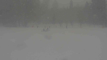 Ski klub RD Rýmařov