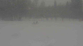 Ski klub RD Rýmařov