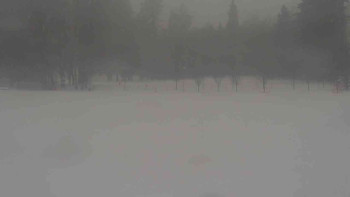 Ski klub RD Rýmařov