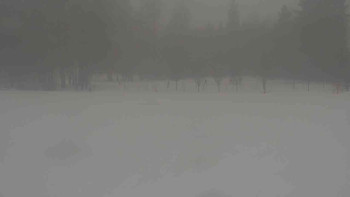 Ski klub RD Rýmařov