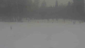 Ski klub RD Rýmařov