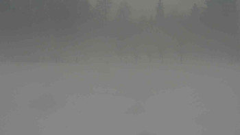 Ski klub RD Rýmařov