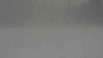 Ski klub RD Rýmařov