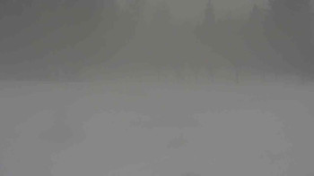 Ski klub RD Rýmařov