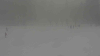 Ski klub RD Rýmařov