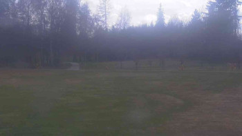 Ski klub RD Rýmařov