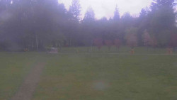 Areál ski klubu