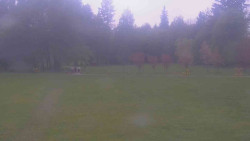 Areál ski klubu