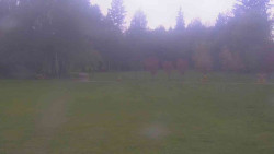 Areál ski klubu