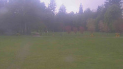 Areál ski klubu
