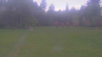 Ski klub RD Rýmařov