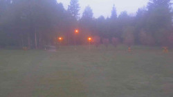 Areál ski klubu