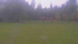 Areál ski klubu