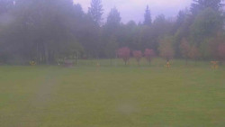 Areál ski klubu