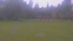 Areál ski klubu