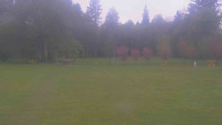 Areál ski klubu