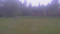 Areál ski klubu