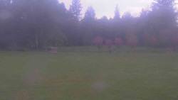 Areál ski klubu