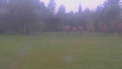 Areál ski klubu