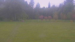 Areál ski klubu