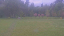 Areál ski klubu