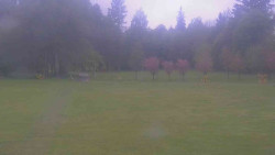 Areál ski klubu