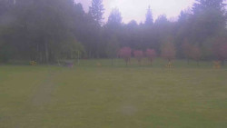 Areál ski klubu
