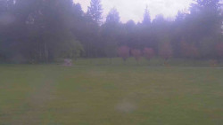 Areál ski klubu
