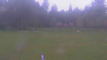 Ski klub RD Rýmařov