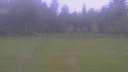 Areál ski klubu