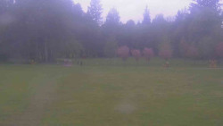 Areál ski klubu