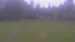 Areál ski klubu