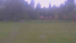 Areál ski klubu