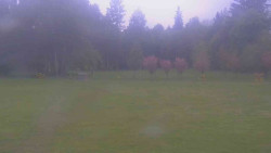 Areál ski klubu