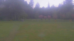 Areál ski klubu