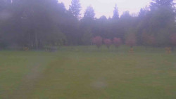 Areál ski klubu