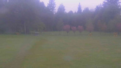 Areál ski klubu