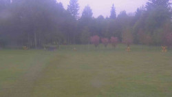 Areál ski klubu