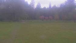 Areál ski klubu
