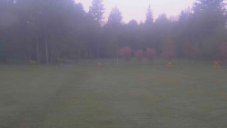 Areál ski klubu
