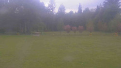 Areál ski klubu