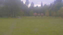 Areál ski klubu
