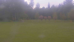 Areál ski klubu