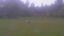 Areál ski klubu