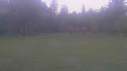 Areál ski klubu