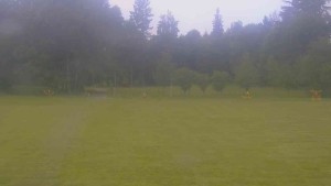 Ski klub RD Rýmařov - Areál ski klubu - 16.6.2026 v 08:30 Ski klub RD Rýmařov - Areál ski klubu - 16.6.2026 v 08:30