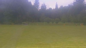 Ski klub RD Rýmařov - Areál ski klubu - 16.6.2026 v 09:30 Ski klub RD Rýmařov - Areál ski klubu - 16.6.2026 v 09:30